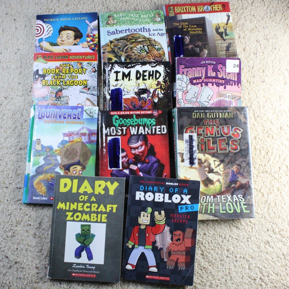 Scholastic Kids Chapter Book Lot 10 Goosebumps Minecraft Roblox Mystery Y2K Kids